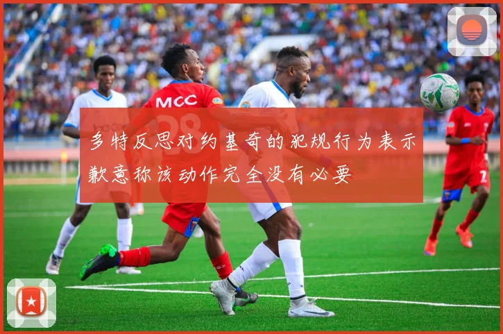 多特反思对约基奇的犯规行为表示歉意称该动作完全没有必要