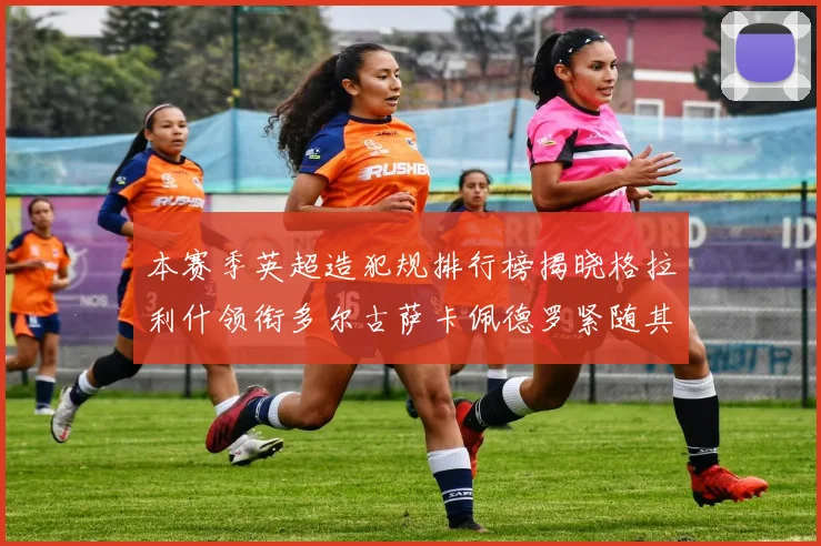 本赛季英超造犯规排行榜揭晓格拉利什领衔多尔古萨卡佩德罗紧随其后