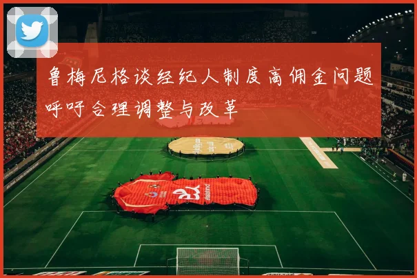 鲁梅尼格谈经纪人制度高佣金问题呼吁合理调整与改革