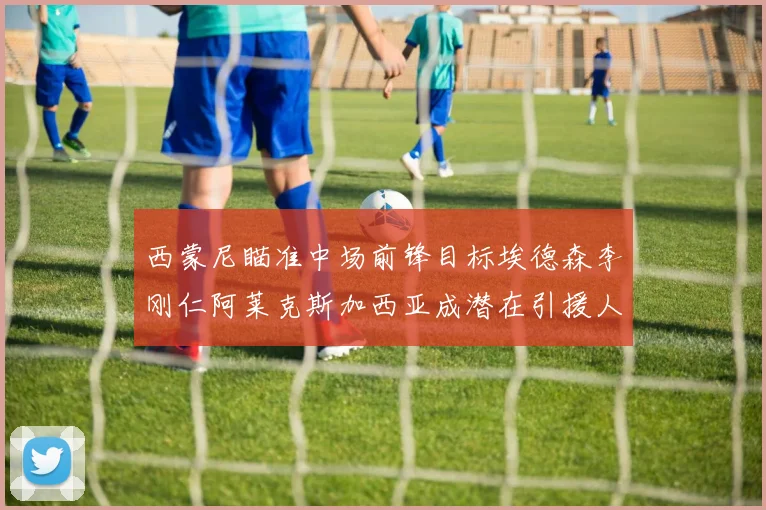 西蒙尼瞄准中场前锋目标埃德森李刚仁阿莱克斯加西亚成潜在引援人选