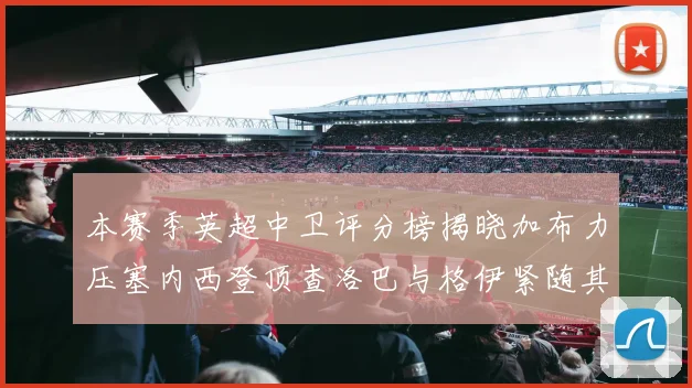 本赛季英超中卫评分榜揭晓加布力压塞内西登顶查洛巴与格伊紧随其后